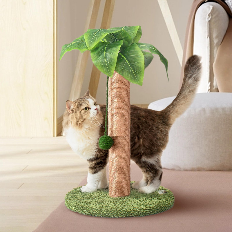 23.6 inch Cute Cat Scratcher Kitten Scratching Post